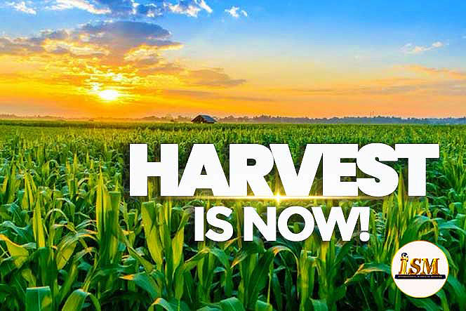 HARVEST IS NOW!